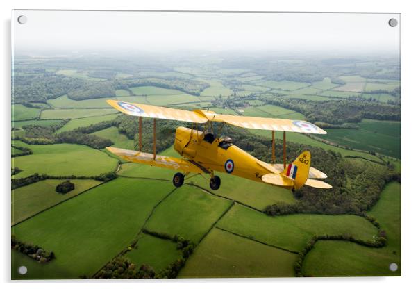 Going solo: RAF Tiger Moth Acrylic by Gary Eason