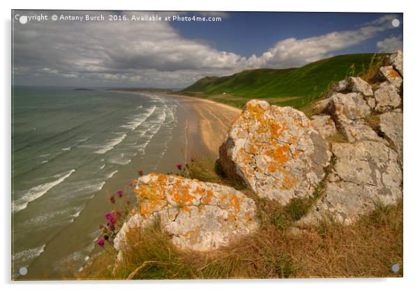 Rhossili Bay Acrylic by Antony Burch