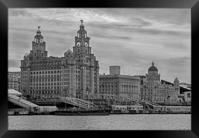 The Three Graces Framed Print by Roger Green