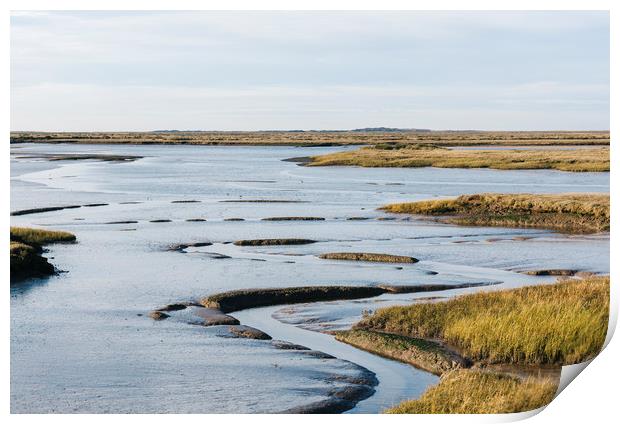 Low tide salt marsh at Burnham Overy Staithe, Norf Print by Liam Grant