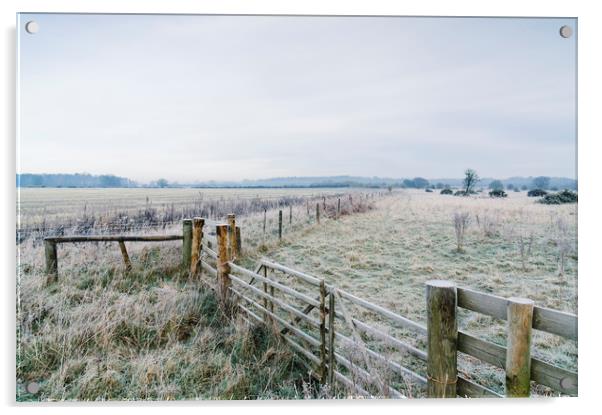 Rural field and gate covered in frost. Norfolk, UK Acrylic by Liam Grant