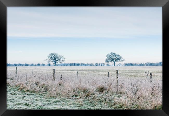 Rural field covered in frost. Norfolk, UK. Framed Print by Liam Grant