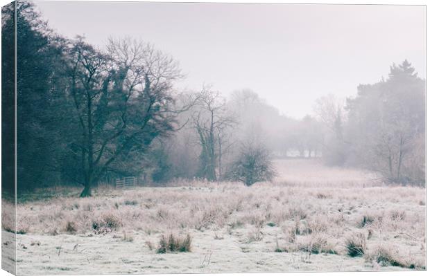 Rural field covered in frost. Norfolk, UK. Canvas Print by Liam Grant