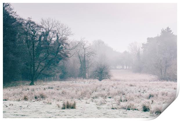 Rural field covered in frost. Norfolk, UK. Print by Liam Grant