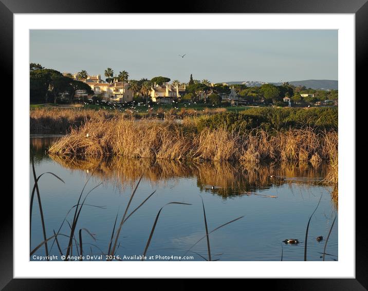 End of the day in Quinta do Lago Framed Mounted Print by Angelo DeVal