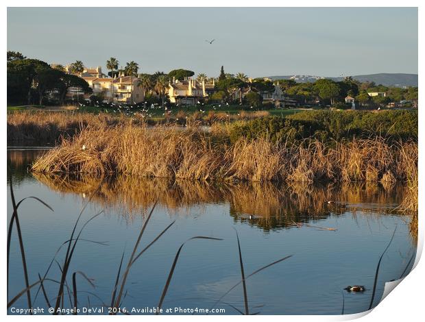 End of the day in Quinta do Lago Print by Angelo DeVal