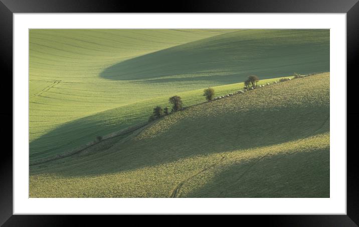 South Downs, Sussex, Sheep, Shadows Framed Mounted Print by Sue MacCallum- Stewart