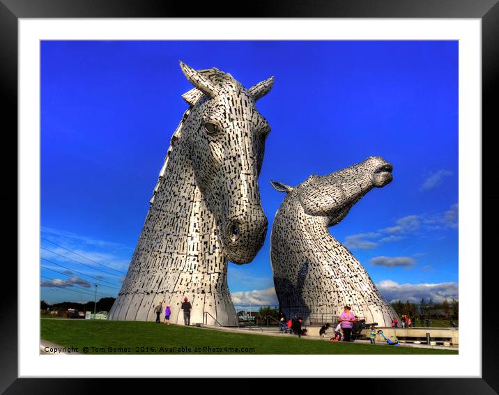 Kelpies at The Helix Framed Mounted Print by Tom Gomez