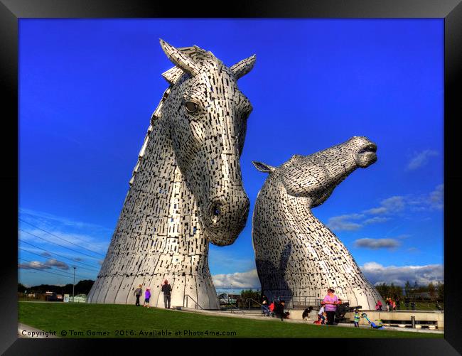 Kelpies at The Helix Framed Print by Tom Gomez