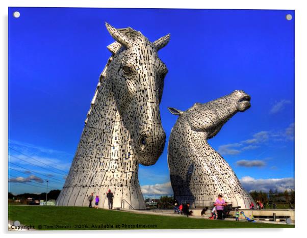 Kelpies at The Helix Acrylic by Tom Gomez