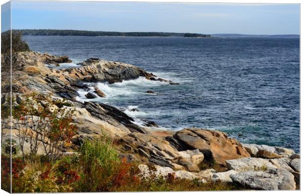 "Rocky Maine Coast" Canvas Print by Jerome Cosyn