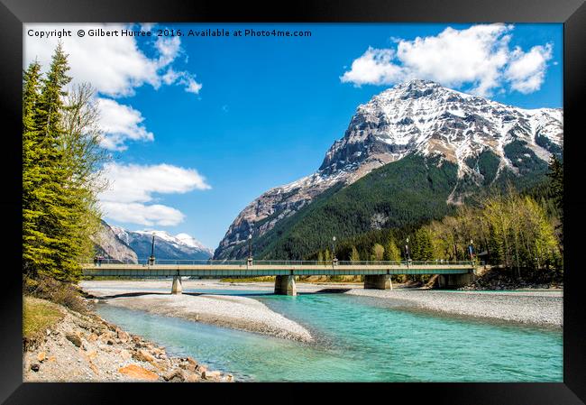 Embracing Nature: Kicking Horse River Framed Print by Gilbert Hurree