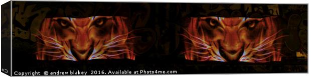 Tiger Eyes light painting Canvas Print by andrew blakey