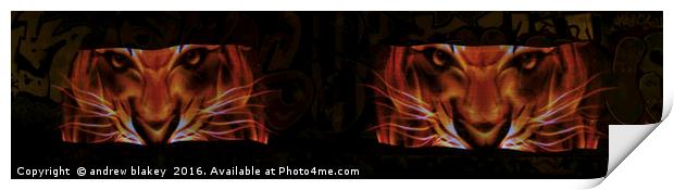 Tiger Eyes light painting Print by andrew blakey