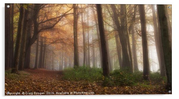 Misty Forest Acrylic by Craig Doogan