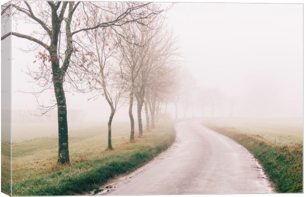 Rural tree lined road in fog. Norfolk, UK. Canvas Print by Liam Grant