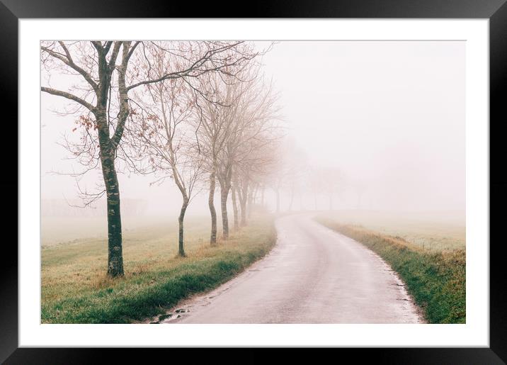 Rural tree lined road in fog. Norfolk, UK. Framed Mounted Print by Liam Grant