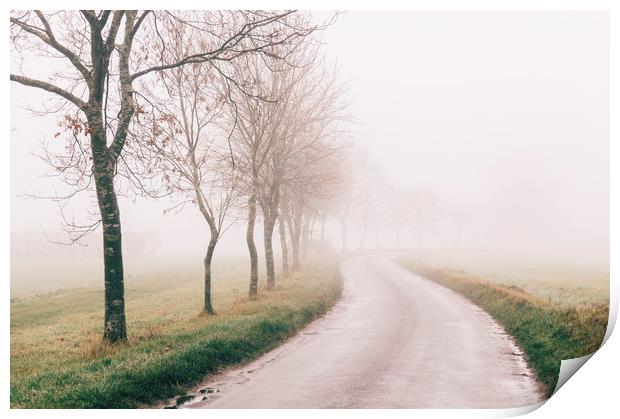Rural tree lined road in fog. Norfolk, UK. Print by Liam Grant