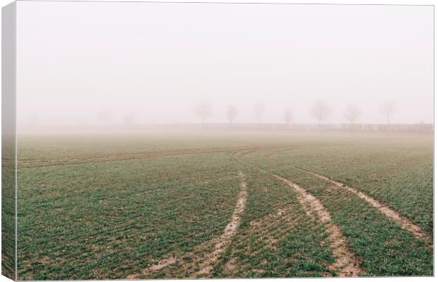 Tracks and trees in fog. Norfolk, UK. Canvas Print by Liam Grant