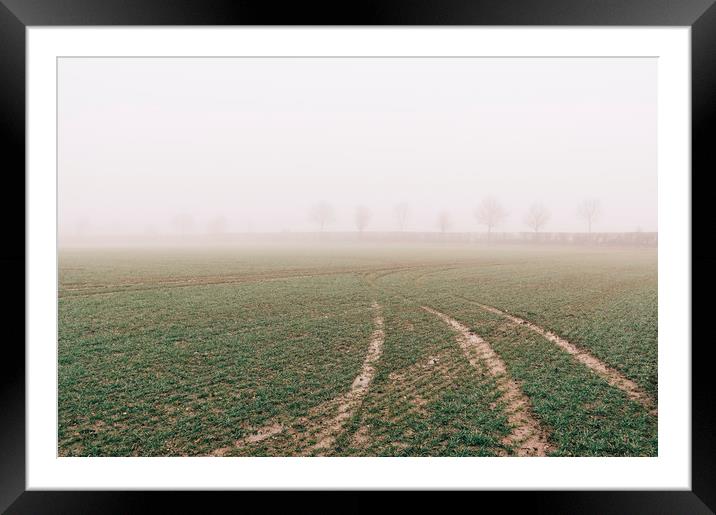 Tracks and trees in fog. Norfolk, UK. Framed Mounted Print by Liam Grant