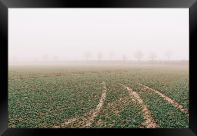 Tracks and trees in fog. Norfolk, UK. Framed Print by Liam Grant