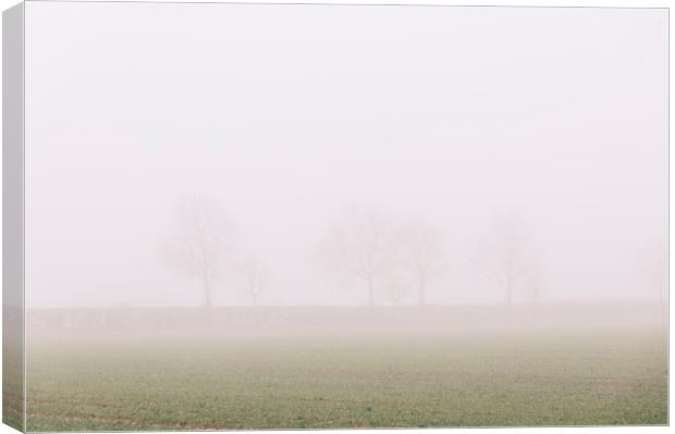 Distant trees and field in fog. Norfolk, UK. Canvas Print by Liam Grant
