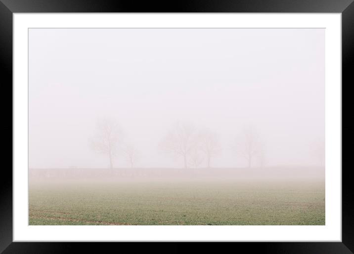 Distant trees and field in fog. Norfolk, UK. Framed Mounted Print by Liam Grant