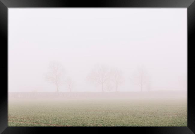 Distant trees and field in fog. Norfolk, UK. Framed Print by Liam Grant