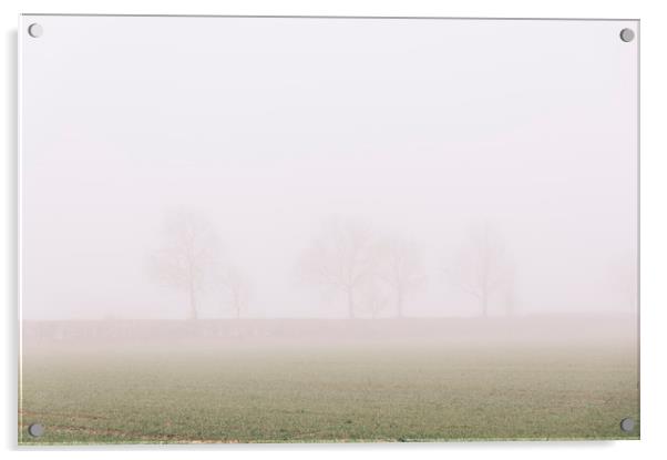 Distant trees and field in fog. Norfolk, UK. Acrylic by Liam Grant