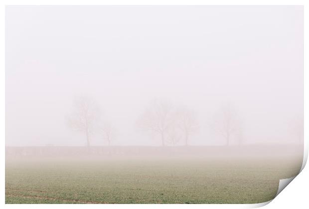 Distant trees and field in fog. Norfolk, UK. Print by Liam Grant