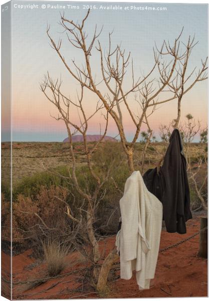 Desert Cloakroom Canvas Print by Pauline Tims