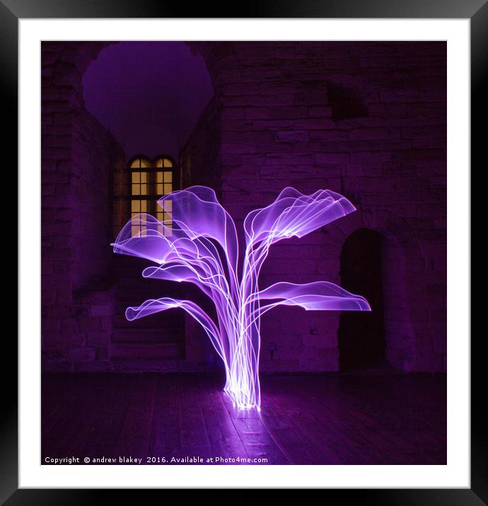 Light Painted tree Framed Mounted Print by andrew blakey