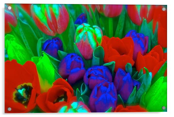 Bunch of Tulips                                Acrylic by Sue Bottomley