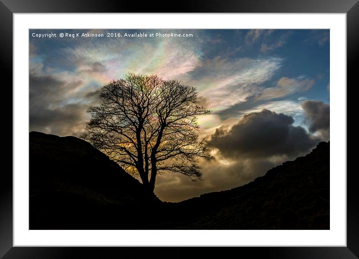 Sycamore Gap Silhouette Framed Mounted Print by Reg K Atkinson