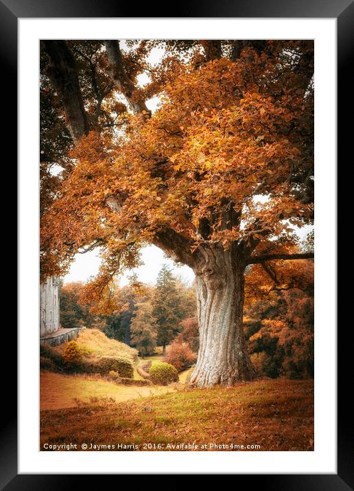 Autumn at Blair Castle Framed Mounted Print by Jaymes Harris