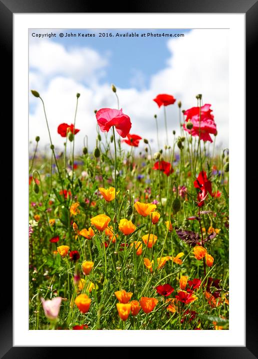 Wildflowers in a meadow on a sunny summers day Framed Mounted Print by John Keates