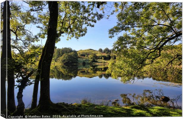 Loughrigg Tarn under the trees Canvas Print by Matthew Bates
