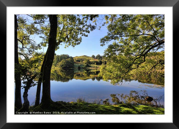 Loughrigg Tarn under the trees Framed Mounted Print by Matthew Bates