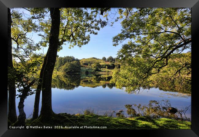 Loughrigg Tarn under the trees Framed Print by Matthew Bates