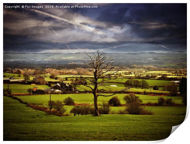 countryside view Print by Derrick Fox Lomax