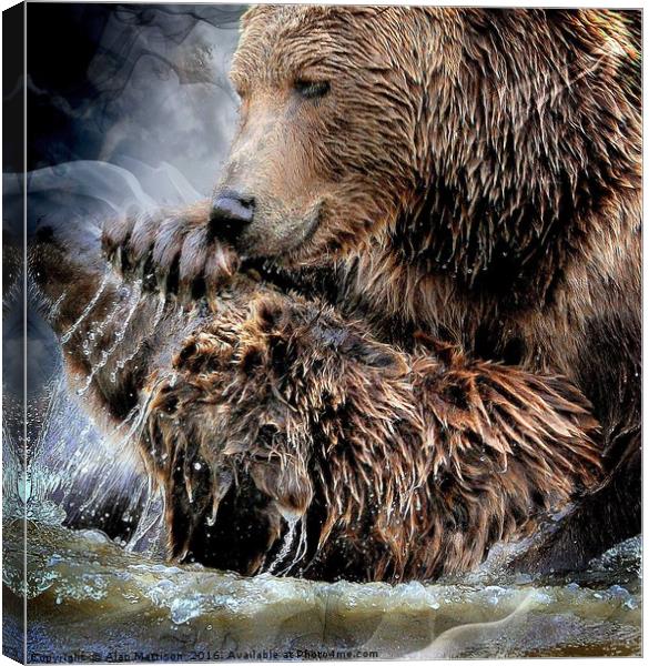 How much can you bear? Canvas Print by Alan Mattison