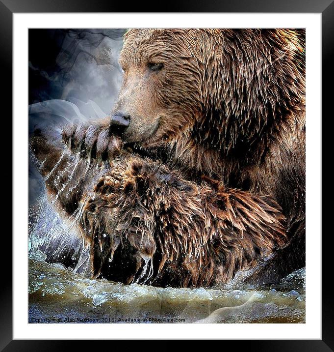 How much can you bear? Framed Mounted Print by Alan Mattison