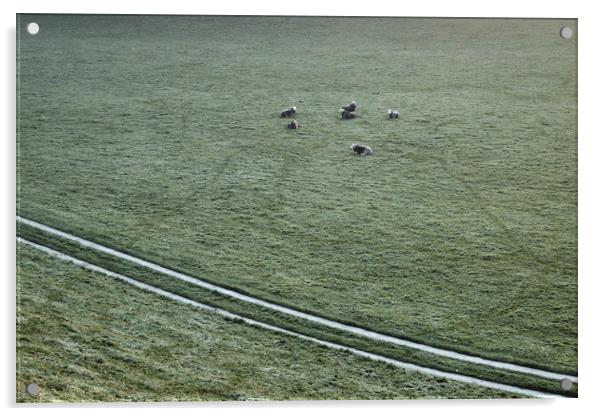 Sheep on a cold dew covered morning. Cumbria, UK. Acrylic by Liam Grant