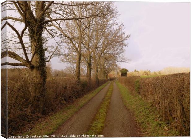 gypsy lane brobury herefordshire Canvas Print by paul ratcliffe