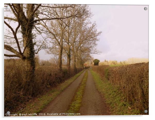 gypsy lane brobury herefordshire Acrylic by paul ratcliffe