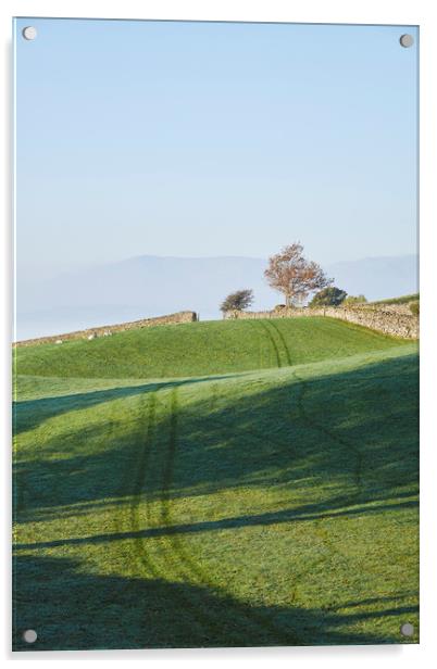 Sheep and fog in the valley at sunrise. Troutbeck, Acrylic by Liam Grant