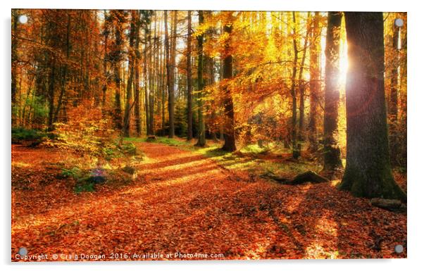 Autumn Forest Acrylic by Craig Doogan