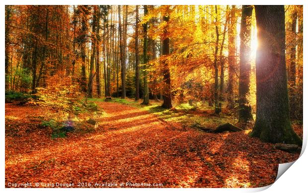 Autumn Forest Print by Craig Doogan