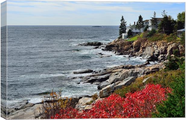 "Rocky Maine Coast II" Canvas Print by Jerome Cosyn