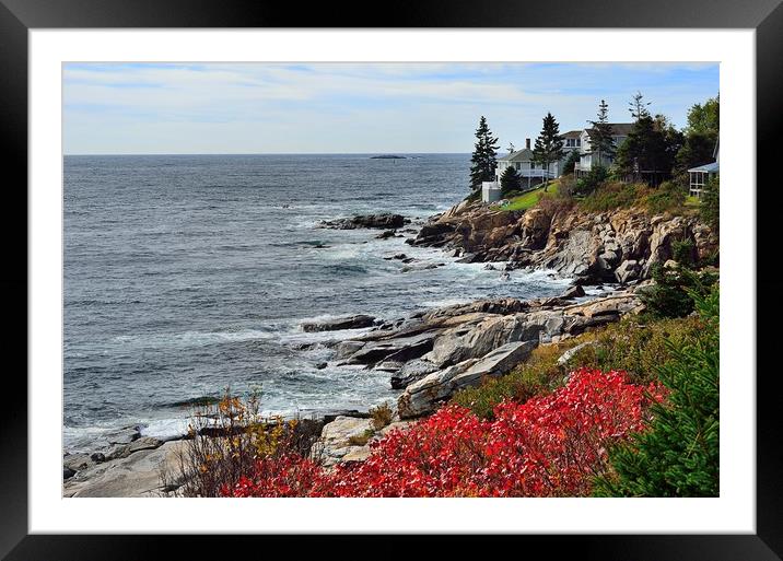 "Rocky Maine Coast II" Framed Mounted Print by Jerome Cosyn